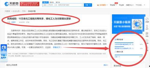 咸阳今日爆料事件视频网,视频揭露惊人真相